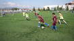 ziaci 2